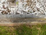 image of grave number 808813